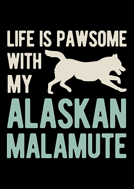 Funny Alaskan Malamute Dog