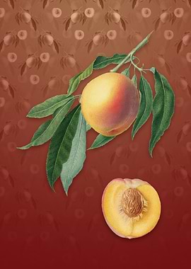 Vintage Peach on Falu Red