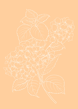 Hydrangea Flower