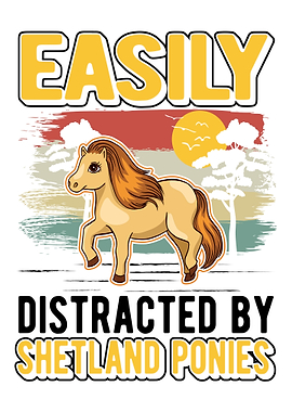 Shetland Pony Shetty