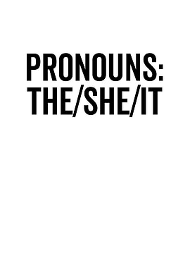 Pronouns TheSheIt