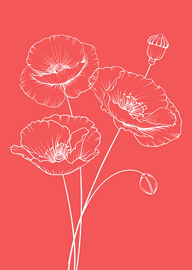 Poppy Flower