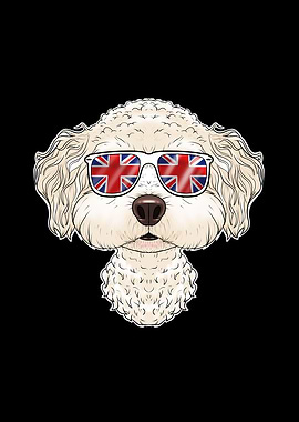 Bichon Frise UK Sunglasses