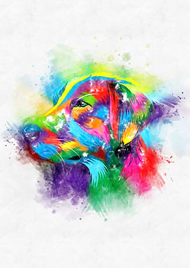 Golden Retriever Dog Head