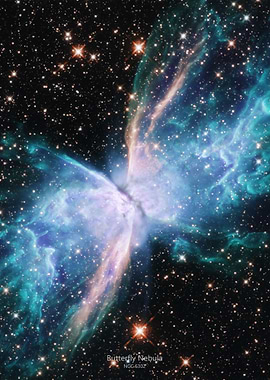 Butterfly Nebula