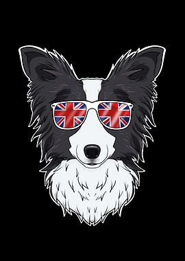 Border Collie UK