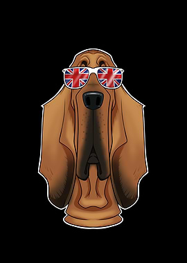 Bloodhound UK Sunglasses