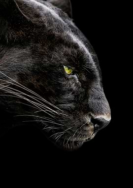 black panther face poster