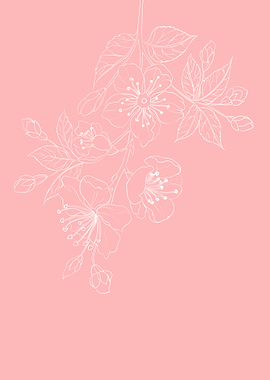 Cherry Blossom Sakura