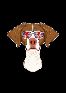 Brittany UK Sunglasses