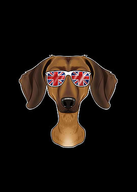 Dachshund UK Sunglasses