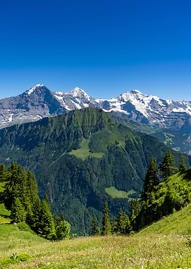 The Beautiful Bernese Alps