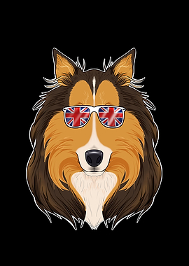 Collie UK Sunglasses