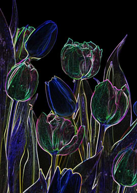 tulips neon