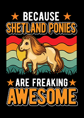 Shetland Pony Shetty