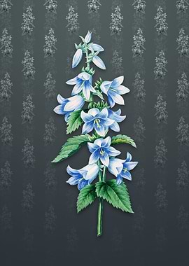 Vintage Bellflowers