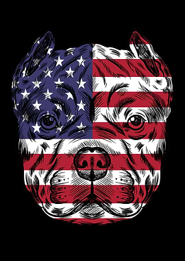 Pitbull Dog 4th Of July