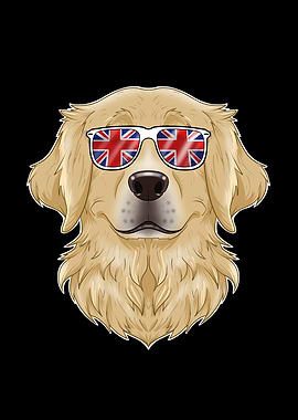 Golden Retriever UK