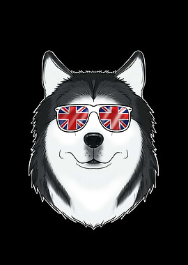 Husky UK Sunglasses