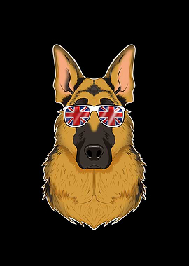 German Shepherd UK