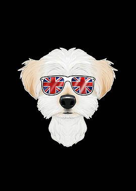 Maltese UK Sunglasses