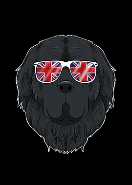 Newfoundland UK Sunglasses