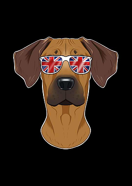Rhodesian Ridgeback UK
