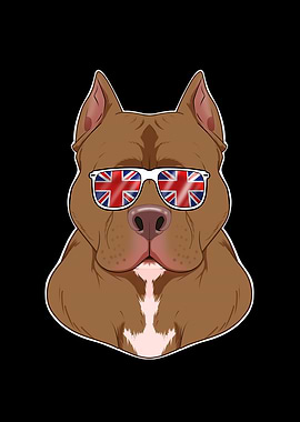 Pitbull UK Sunglasses