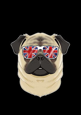 Pug UK Sunglasses