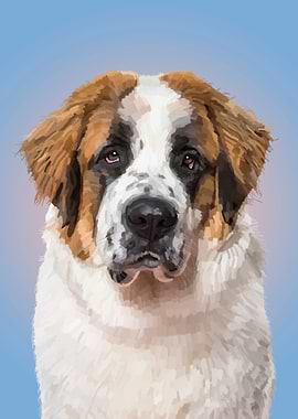 Saint Bernard Dog