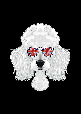 Poodle UK Sunglasses