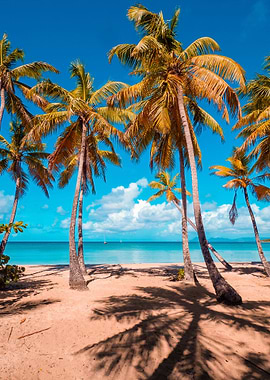 A relaxing beach
