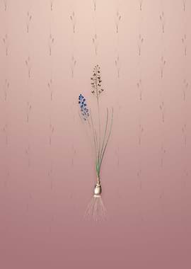 Vintage Autumn Squill