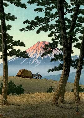 Dusk At Taganoura Beach