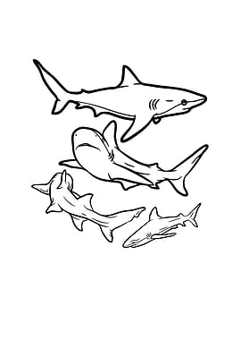 Sharks