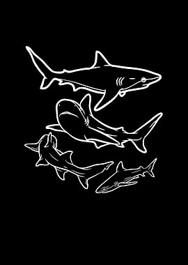 Sharks
