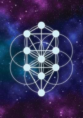 Seed and Tree of Life