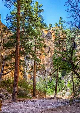 Lick Wash Trail Hike