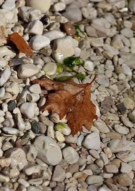 Acherontas river in Greece