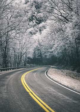 Winter Road