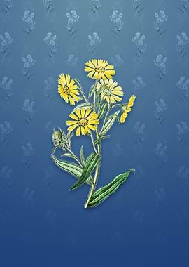 Vintage Madia Flower