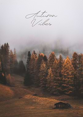 Autumn Vibes