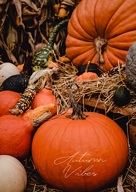 Autumn Vibes