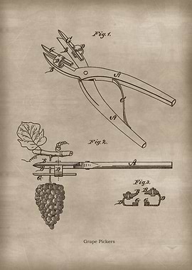 Vintage Grape Pickers