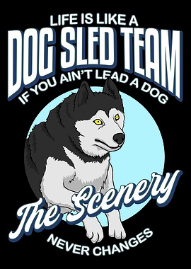 Funny Mushing Sleds Dog