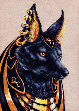Anubis Indiana