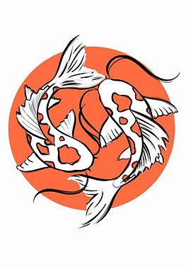 2 beautiful fish circling