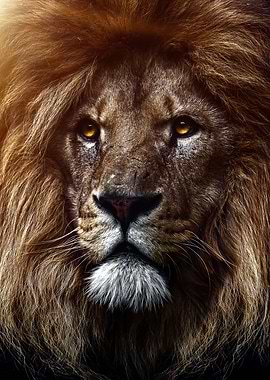 Golden lion king artwork