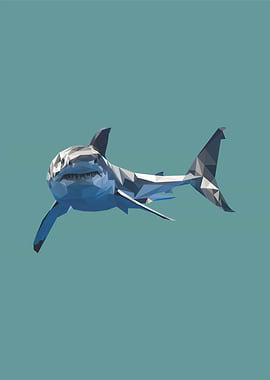 nursery animals shark