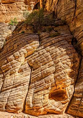 Lick Wash Trail Hike